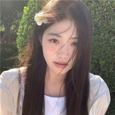 美国派：高潮再起
